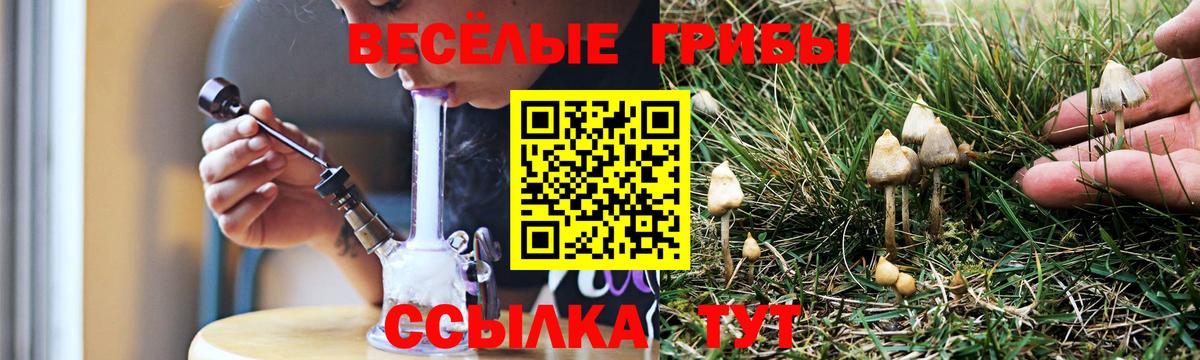 Галлюциногенные грибы MAGIC MUSHROOMS Видное