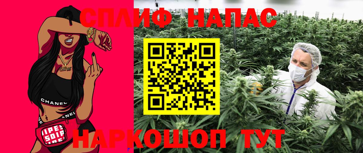 Шишки марихуана сатива Видное